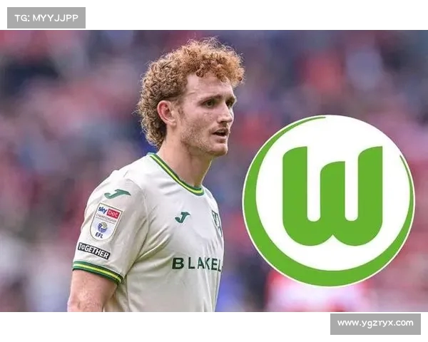 诺维奇前锋萨金特接近加盟狼堡 有望重返德甲赛场