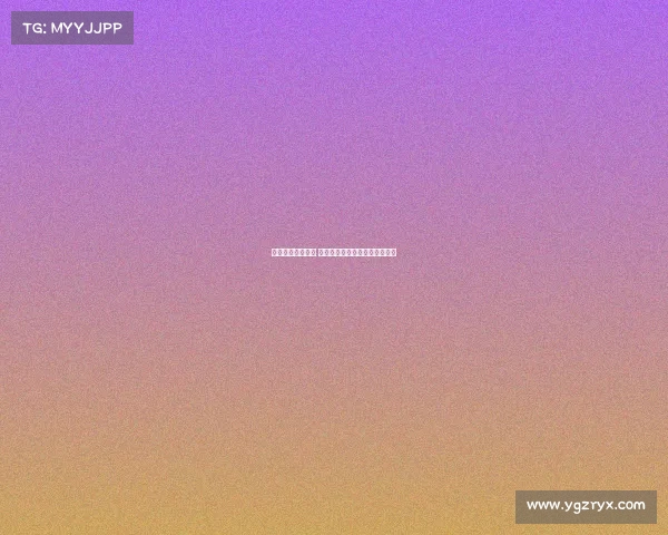 德甲球迷热情四溢 足球激情与文化碰撞的独特魅力